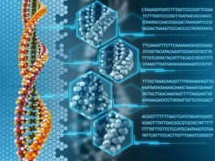 Genetic hard drive. Scientists have found a way to store an entire textbook in the code of DNA.  Credit: Sergey Volkov/iStockphoto