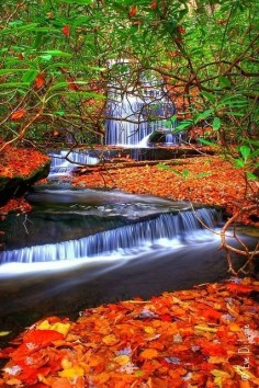 Grogan Creek Waterfalls, North Carolina, USA