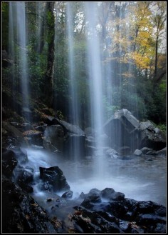 Grotto Falls - Gatlinburg, TN ; 2 mile hike and the only waterfall in the Great Smoky Mountains National Park that a person can walk behind.