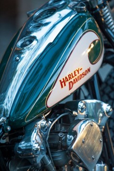 Harley Davidson, Best in Show