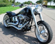 :: Harley Davidson custom ::