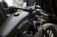 Harley Davidson Iron 883 2015