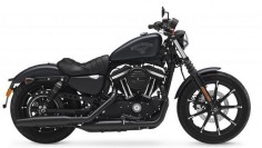 Harley Davidson Iron 883 >2016