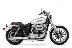 Harley Davidson Sportster 1200 Low XL1200L Buying Guide Harley Davidson Sportster