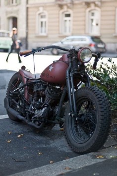 Harley Davidson - this bike has an antique type of look to it. I love it.