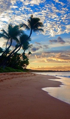Hawaiian Beaches