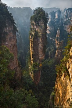 High-altitiude Escape: Zhangjiajie National Park, China