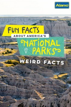 How did Mount Rushmore get its name? Learn the answer to that and discover 19 other curious facts about our National Parks.