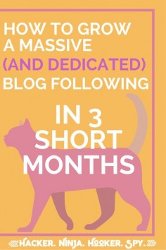 How I Grew My Blog To Thousands in Only 3 Months. Are you ready to hustle? Blogging Tips | Blogging Resources | Non-Asshole Blogger Guide