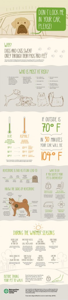 How to care for your pets in warm weather [Infographic]