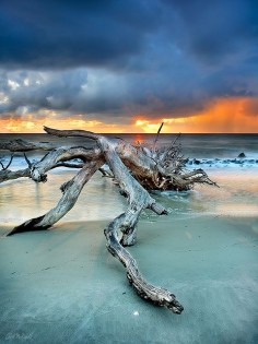 I love it because there are no houses on the beach, only nature  Sunrise on Jekyll Island