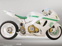 I love the colors and the fact that its a single swing arm it would be perfect if it was a naked bike as well!