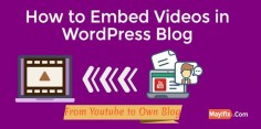If you want to embed videos into your blog and don't know that how to do? Then read this complete guide with infographic