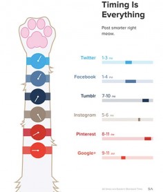 [INFOGRAPHIC] Post Smarter: The Best Times to Use Social Platforms: Twitter; Facebook; Tumblr; Instagram; Pinterest; Google+;