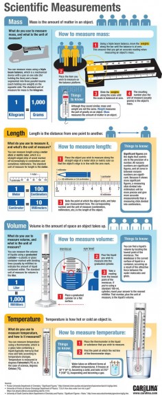Infographic: Scientific Measurements