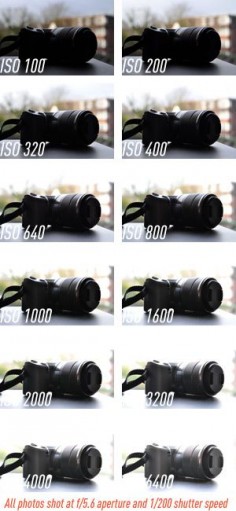ISO comparisons, all shot at  aperture & 1/200 shutter speed