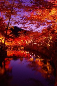 Iwayado, Aichi, Japan #AutumnLeaves