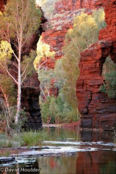 Kalamina Gorge , Pilbara region