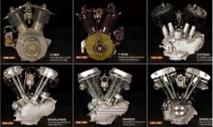 knucklehead vs panhead vs shovelhead . . . The evolution of the Harley engine. Not shown? The evolution engine when it went back into the "family".
