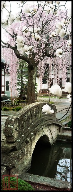 Kozen-ji, Yamagata, Japan: photo by William Corey