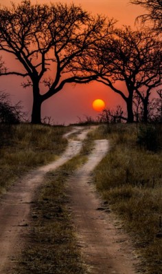 Kruger National Park in South Africa  ~ photo: Timothy Griesel on 500px