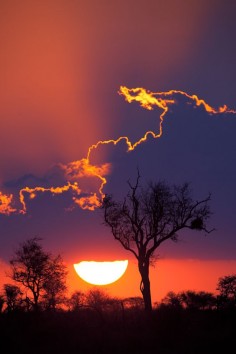 ~ Kruger National Park, South Africa ~