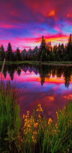 Late spring sunset by the iconic beaver dam at Schwabachers Landing in Jackson Hole, Wyoming (USA) by Jerry Patterson