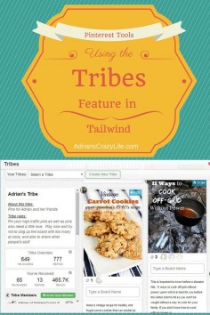 Let me show you how to use the NEW Tailwind Tribes feature. It's easier and more powerful than you might think!