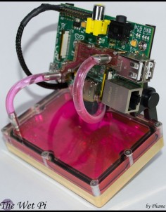 Liquid-cooled Raspberry Pi