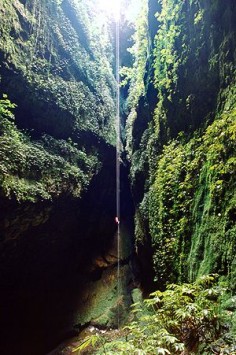 Lost World, Waitomo Caves, North Island, New Zealand.