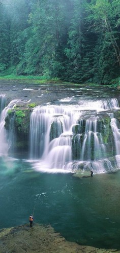 Lower Lewis River Falls ~ Gifford Pinchot National Forest, Washington