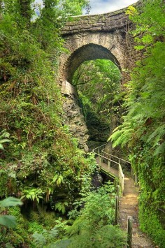 Lydford Gorge is reasonably protected from the rain so if you want to take a walk on a wet day, go there!