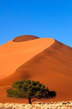 Massive sand dunes in Sossusvlei, Namib-Naukluft National Park, Namibia