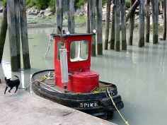 mini tug boat
