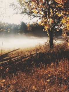 Miracles do not, in fact, break the laws of nature. C. S. Lewis beautiful, mist, autumn, let's fall