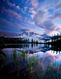 Mt Rainier National Park, Washington