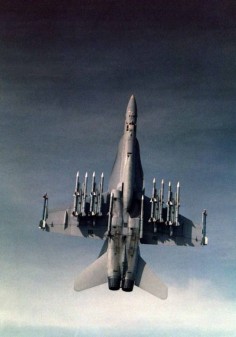 Much more beautiful than a JSF; F/A-18 Hornet on full air-to-air load! :)