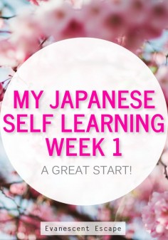 My Japanese Self Learning Week 1: A Great Start!