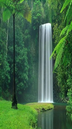 Nature - Waterfall - Lake Plitvice National Park in Croatia.