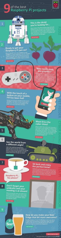 Nine of the Best Raspberry Pi Projects   The Raspberry Pi will let you do all sorts of cool things. Here's an infographic to give you some ideas on what to do with yours.