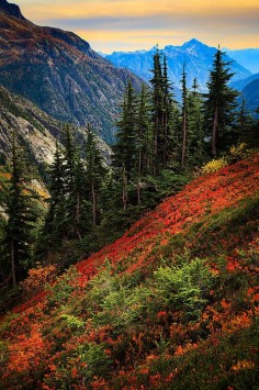 North Cascades National Park, Washington