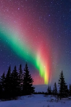 Northern lights - a miracle of nature. Churchill, Manitoba, Canada. The 10 Most Beautiful Towns in Canada on  Click the image to find out what Canadian towns you shouldn't miss.