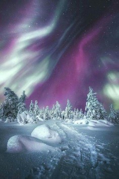 Northern lights in Levi, Finland