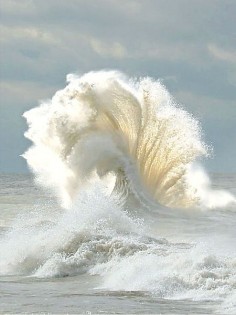 ❥ Now, that's a wave!