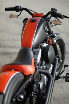 Nueva Harley-Davidson Sportster 883 IRON - Página 7 - ForoCoches
