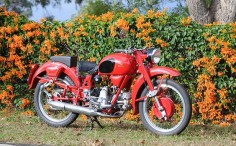Old Bike Australasia: Birds of a feather - 1953 Moto Guzzi Airone 250 - Shannons Club