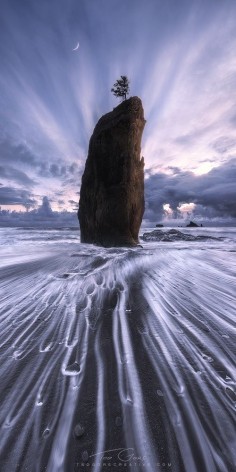 Olympic National Park, Ted Gore