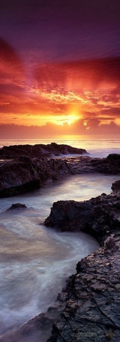One and Only ~ sunrise, Currumbin, Gold Coast region of Queensland, Australia by Bernie Zajac