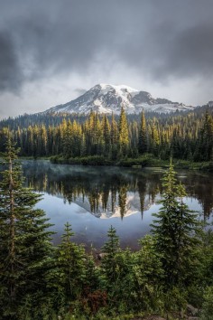 One of the most beautiful places I've seen. Mount Rainier National Park, Washington; photo by .Darren Neupert