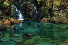 Opal Creek Wilderness in the Willamette National Forest in Oregon  --  Opal Creek Valley contains 50 waterfalls, five lakes, and 36 miles of hiking trails with 500-1000 year old trees. BabsBoards